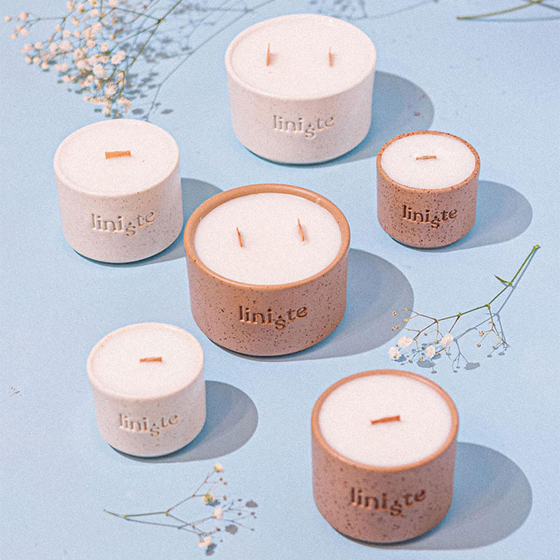 Aikun Wholesale Unique Fragrance Plant Soy Wax Candles Ceramic Jars Soothing Aromatherapy Scented Candles for Indoor Decoration