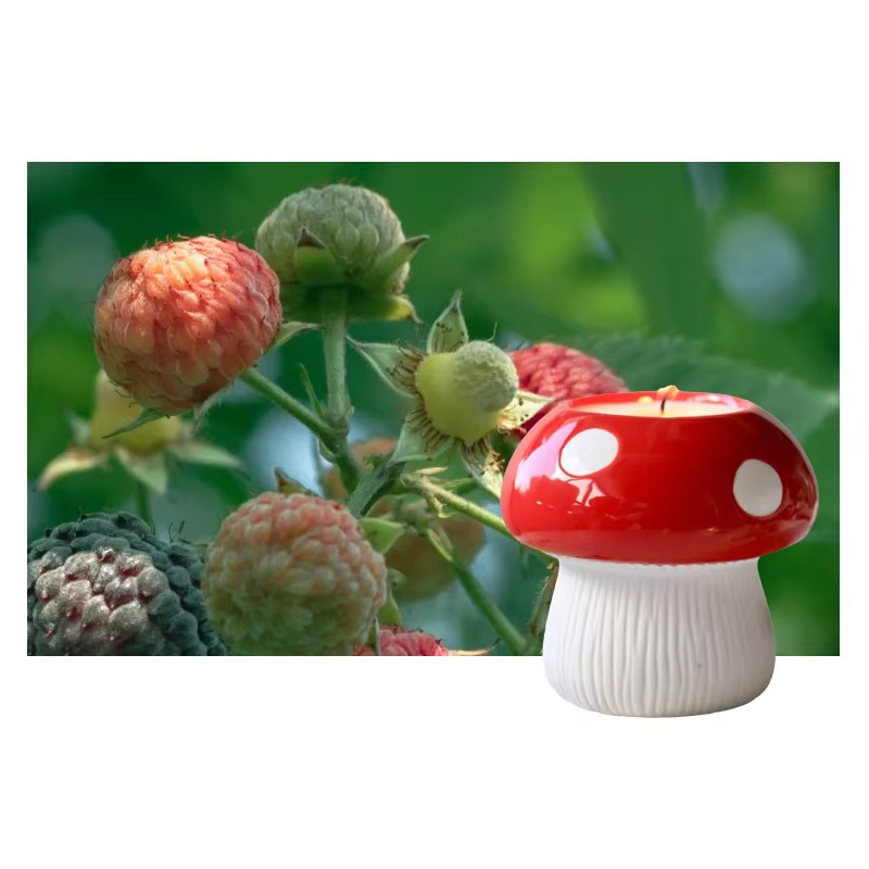 Ceramic Mushrooms Soy Wax Plant Essential Oils Handmade Home Atmosphere Ornaments Scented Candles