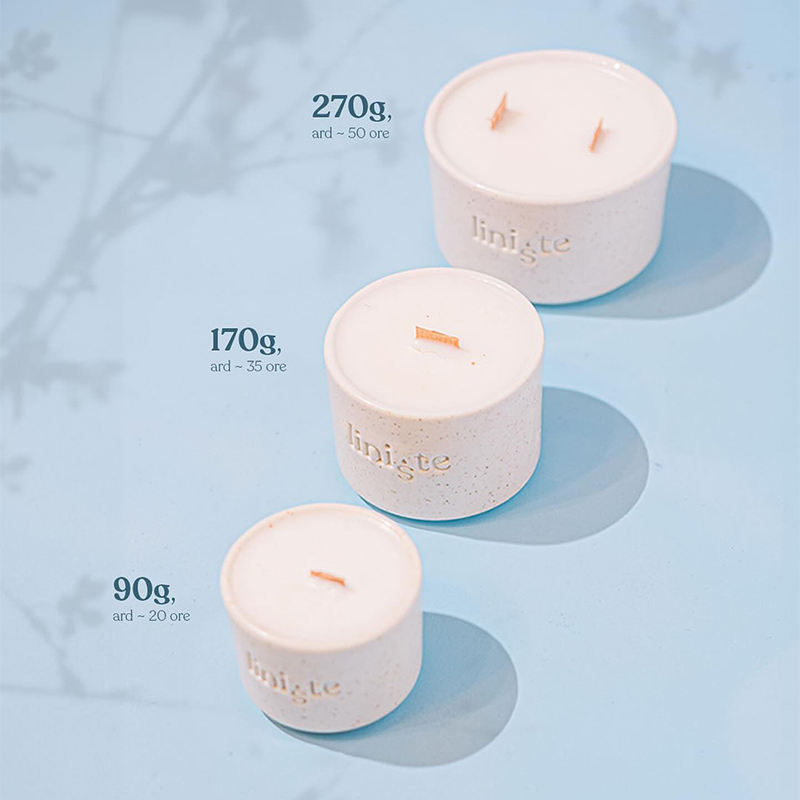 Aikun Wholesale Unique Fragrance Plant Soy Wax Candles Ceramic Jars Soothing Aromatherapy Scented Candles for Indoor Decoration