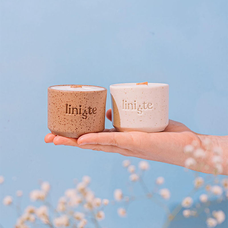 Aikun Wholesale Unique Fragrance Plant Soy Wax Candles Ceramic Jars Soothing Aromatherapy Scented Candles for Indoor Decoration